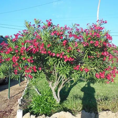 Apartamento Jardins Da Balaia Guest *