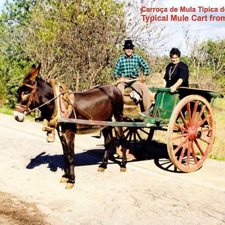 Apartamento Jardins Da Balaia Guest *
